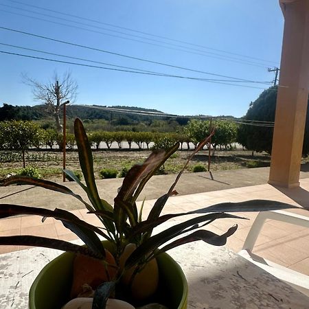 Garden View Appartment Kalavárda المظهر الخارجي الصورة
