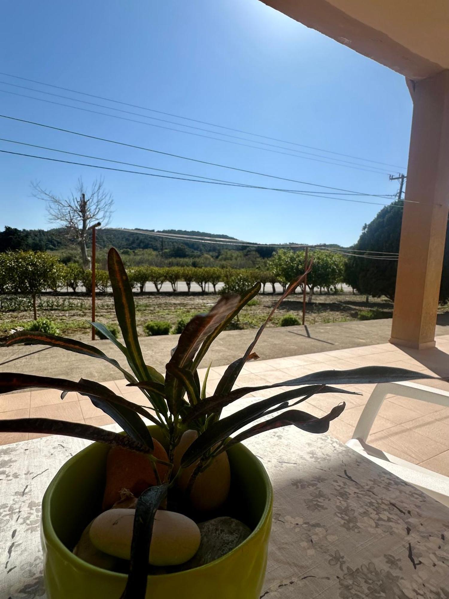 Garden View Appartment Kalavárda المظهر الخارجي الصورة